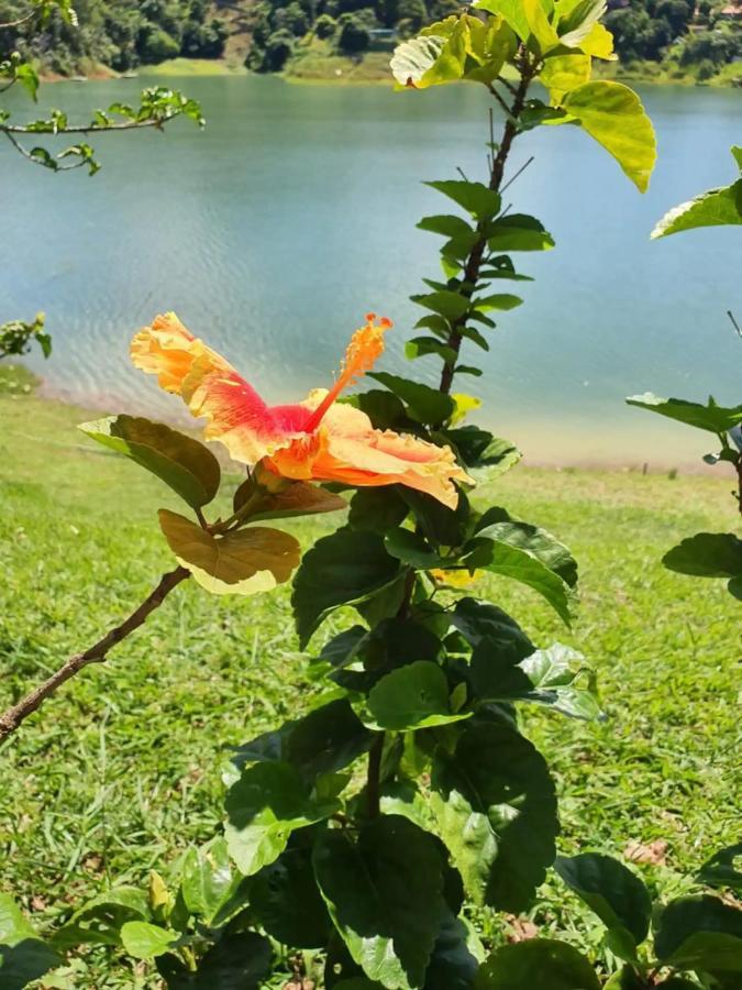 Maravilhoso Sitio Na Beira Da Represa Villa Igarata Bagian luar foto